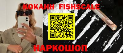 крисы Моздок