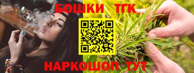 крисы Моздок