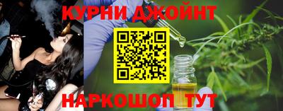 крисы Моздок