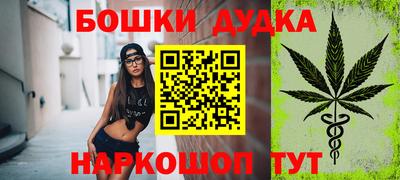 крисы Моздок