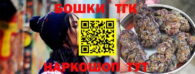 крисы Моздок