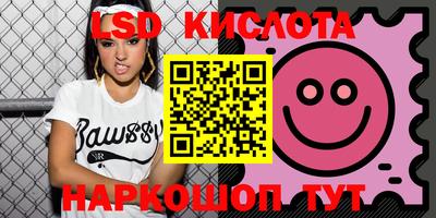 крисы Моздок