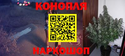 крисы Моздок