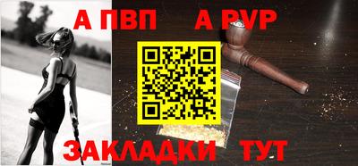крисы Моздок